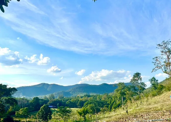 Rabbit Forest สวนผึ้ง * ทุ่งแฝก