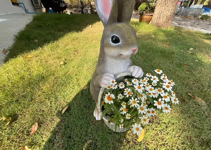 Rabbit Forest สวนผึ้ง